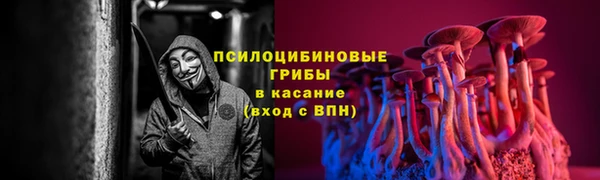 мяу мяу мука Новодвинск