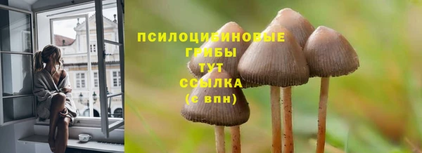 таблы Инсар