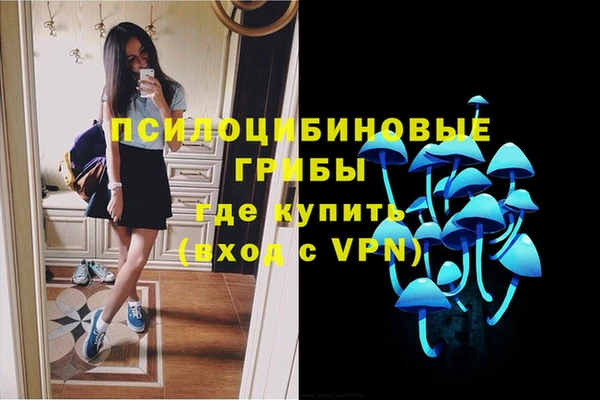 мяу мяу мука Новодвинск