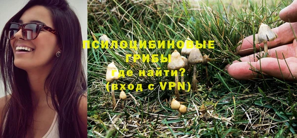мдпв Новокубанск