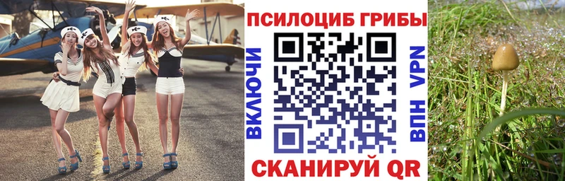 Псилоцибиновые грибы прущие грибы Кремёнки